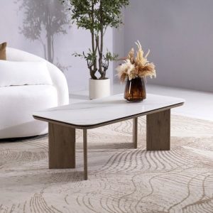 COFFEE TABLE Y18
